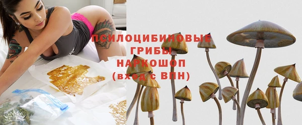 первитин Заводоуковск