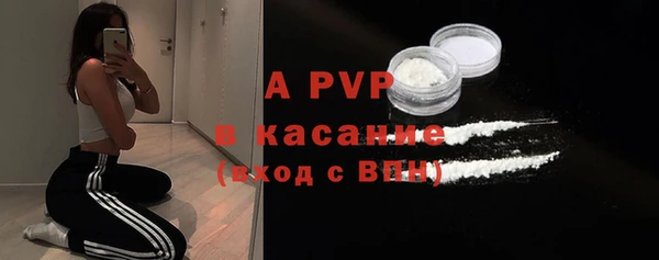 spice Нестеровская